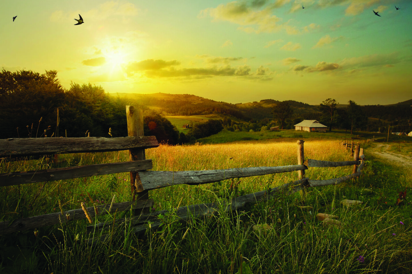 Wooden Fence scaled e1778219895857